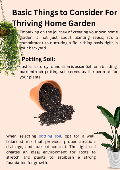 Basic Things to Consider For Thriving Home Garden