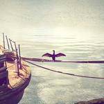 Karine Beer Profile Picture