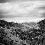 Skylar Nolan Profile Picture