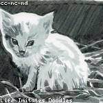 Kane Wunsch Profile Picture