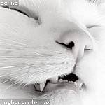 Mekhi Gaylord Profile Picture