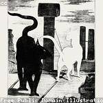 Maxwell Hodkiewicz Profile Picture