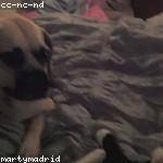 Antonietta Hermann Profile Picture