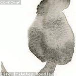 Della Sipes Profile Picture