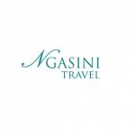 Ngasini Travel profile picture