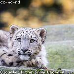 Warren Goyette Profile Picture