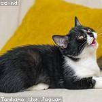 Hattie Breitenberg Profile Picture