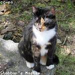 Caleigh Herman Profile Picture