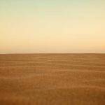 Kassandra Casper Profile Picture