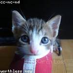Waylon Wyman Profile Picture
