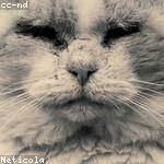 Myrtle Barrows Profile Picture