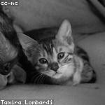 Rylee Bergnaum Profile Picture