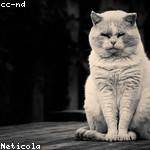 Gretchen Kuhlman Profile Picture