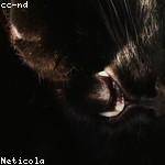 Demario Champlin Profile Picture
