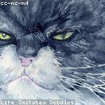 Lacey Schuppe Profile Picture
