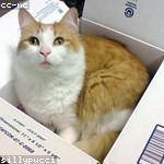 Autumn Breitenberg Profile Picture