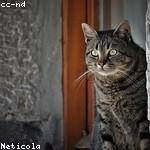 Mireille Quitzon Profile Picture