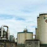 Marilou Stoltenberg Profile Picture