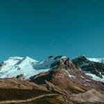 Lizeth Hegmann Profile Picture