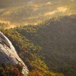 Elena Boyle Profile Picture