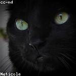 Berta Kuphal Profile Picture