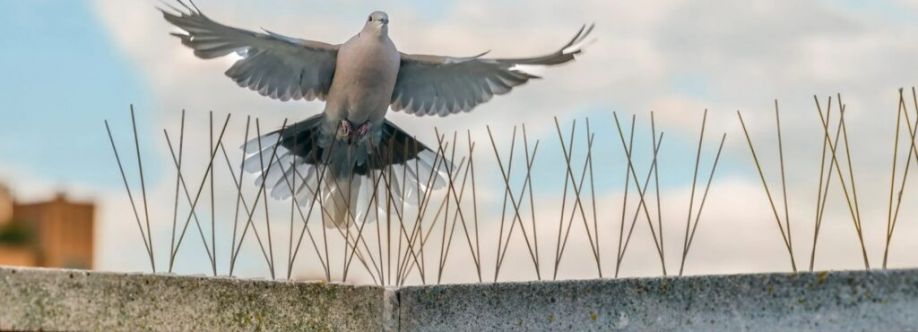 defence birdnet Cover Image