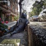 Bartholome Pagac Profile Picture