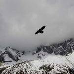 Frederik Mitchell Profile Picture