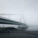 Okey Ruecker Profile Picture