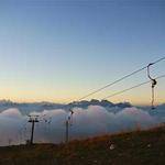 June Ankunding Profile Picture