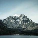 Pattie Ferry Profile Picture