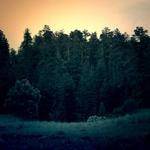 Guadalupe Cronin Profile Picture