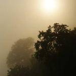 Donnell Schultz Profile Picture