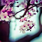 Ian Aufderhar Profile Picture