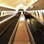 Zella Considine Profile Picture