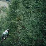 Shaun Grady Profile Picture