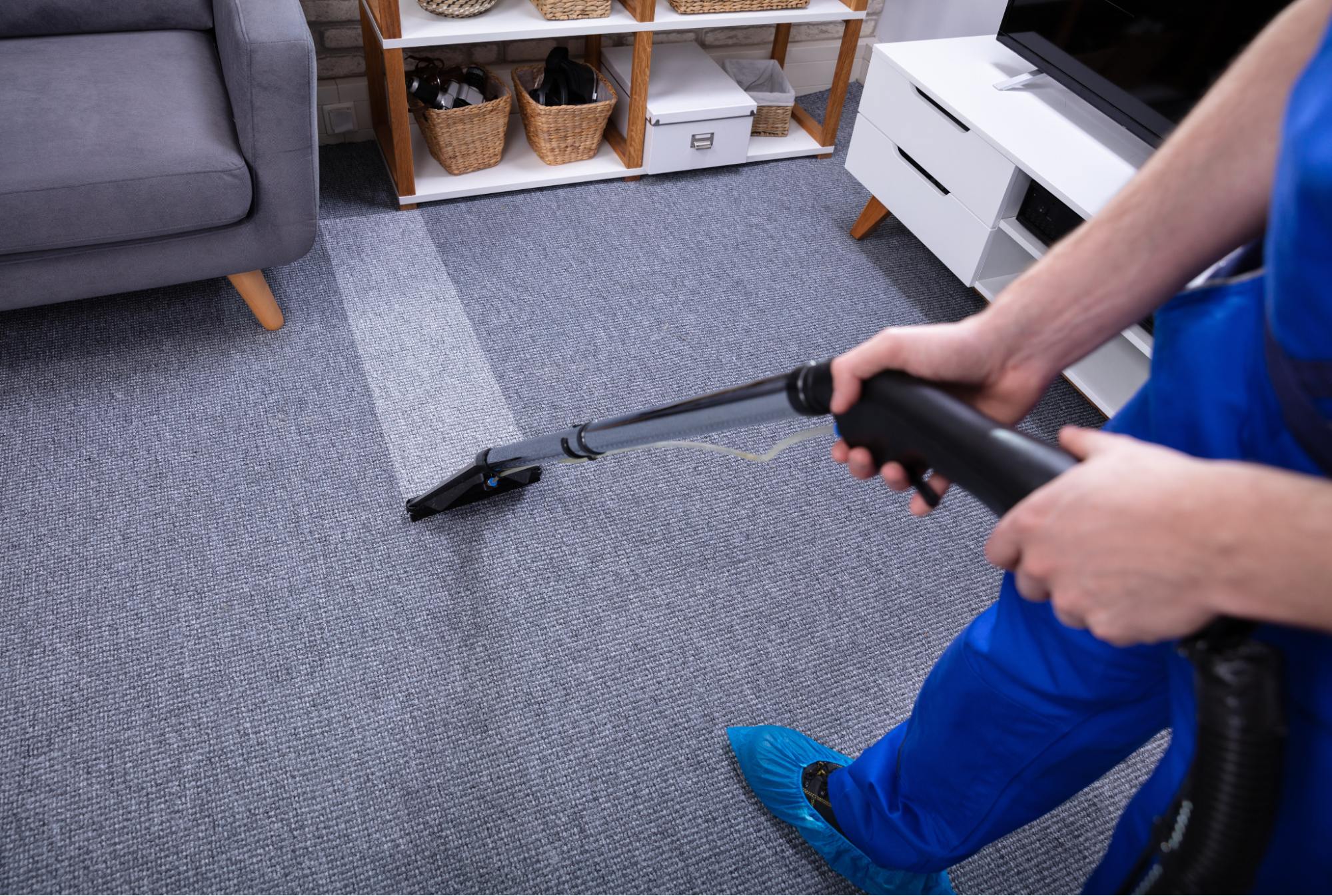 DIY vs Professional Rug Cleaning in Sydney: Find the Best Option