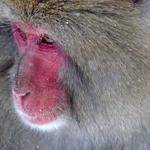 Alessandra Romaguera Profile Picture