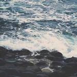 Madison Rempel Profile Picture
