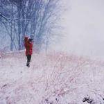 Dallas Ryan Profile Picture