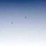 Chase Hackett Profile Picture