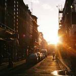 Freddy Mayert Profile Picture