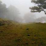 Clement Marvin Profile Picture