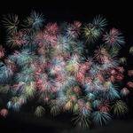 Amos Bogisich Profile Picture