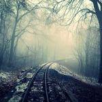 Ayana Lueilwitz Profile Picture