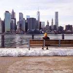 Lourdes Jerde Profile Picture