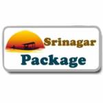 Srinagar Package profile picture