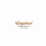 Flyingcolour Business Setup Profile Picture