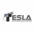 Tesla Outsourcing Services LLC Profile Picture