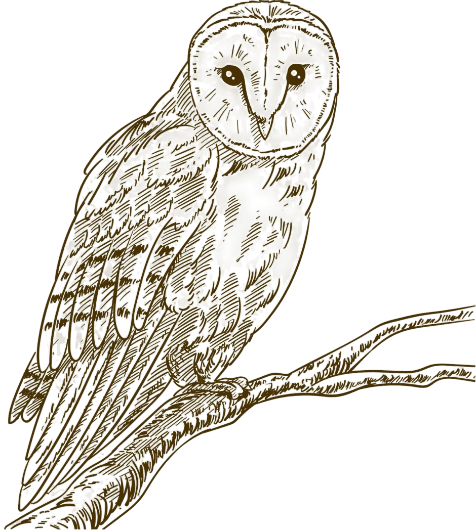 Rodent Control in Kolkata & Guwahati | IPC Bharat